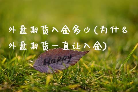 外盘期货入金多少(为什么外盘期货一直让入金)_https://www.zztgc.com_黄金期货_第1张