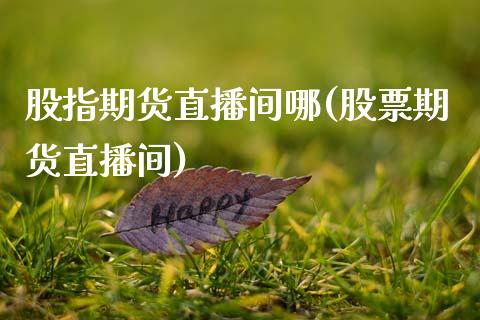 股指期货直播间哪(股票期货直播间)_https://www.zztgc.com_期货入门_第1张