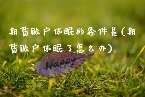 期货账户休眠的条件是(期货账户休眠了怎么办)_https://www.zztgc.com_期货入门_第1张