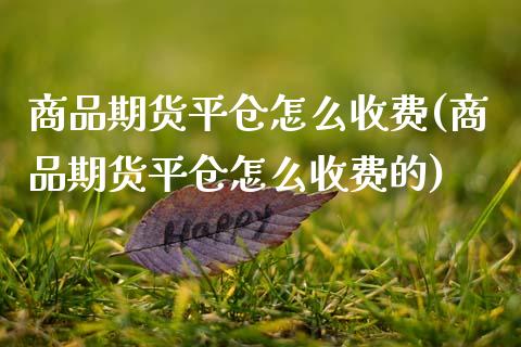 商品期货平仓怎么收费(商品期货平仓怎么收费的)_https://www.zztgc.com_期货直播_第1张