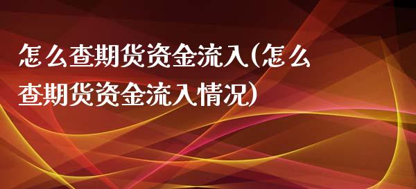 怎么查期货资金流入(怎么查期货资金流入情况)_https://www.zztgc.com_期货行情_第1张