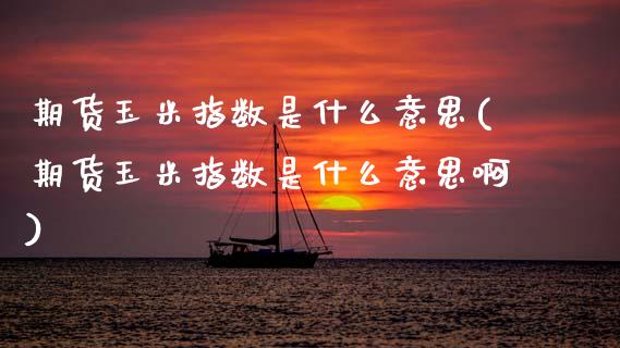 期货玉米指数是什么意思(期货玉米指数是什么意思啊)_https://www.zztgc.com_原油期货_第1张