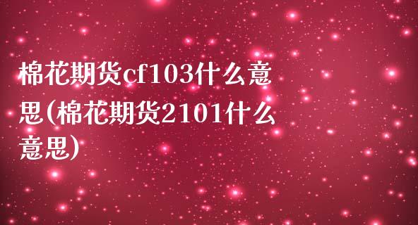 棉花期货cf103什么意思(棉花期货2101什么意思)_https://www.zztgc.com_期货入门_第1张