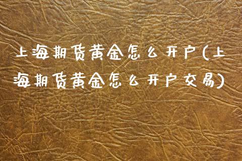 上海期货黄金怎么开户(上海期货黄金怎么开户交易)_https://www.zztgc.com_期货入门_第1张