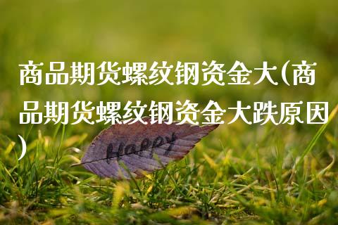 商品期货螺纹钢资金大(商品期货螺纹钢资金大跌原因)_https://www.zztgc.com_期货开户_第1张