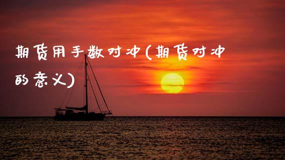 期货用手数对冲(期货对冲的意义)_https://www.zztgc.com_期货入门_第1张