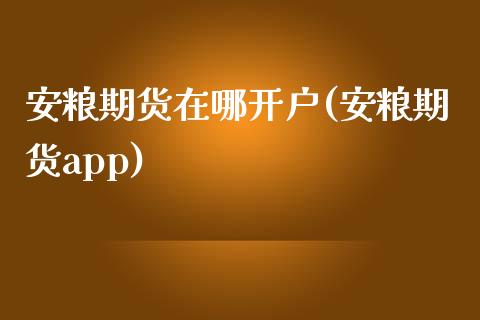 安粮期货在哪开户(安粮期货app)_https://www.zztgc.com_黄金期货_第1张