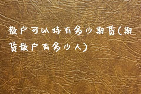 散户可以持有多少期货(期货散户有多少人)_https://www.zztgc.com_期货直播_第1张