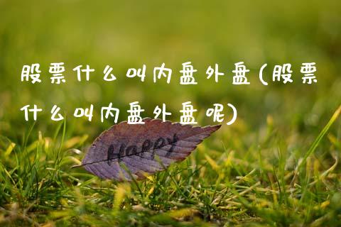 股票什么叫内盘外盘(股票什么叫内盘外盘呢)_https://www.zztgc.com_期货入门_第1张