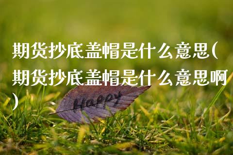 期货抄底盖帽是什么意思(期货抄底盖帽是什么意思啊)_https://www.zztgc.com_期货直播_第1张
