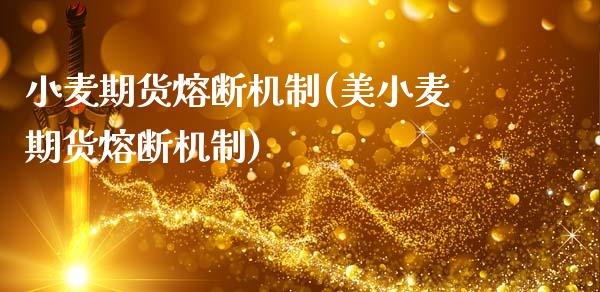 小麦期货熔断机制(美小麦期货熔断机制)_https://www.zztgc.com_期货直播_第1张