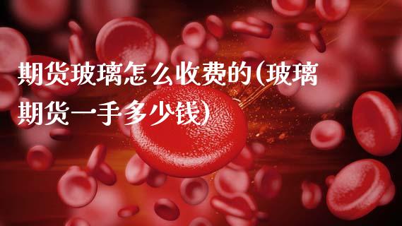 期货玻璃怎么收费的(玻璃期货一手多少钱)_https://www.zztgc.com_期货直播_第1张