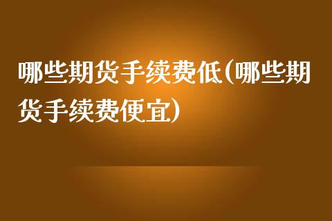 哪些期货手续费低(哪些期货手续费便宜)_https://www.zztgc.com_期货入门_第1张