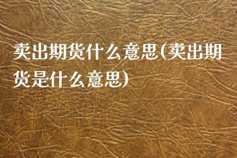 卖出期货什么意思(卖出期货是什么意思)_https://www.zztgc.com_黄金期货_第1张