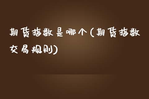 期货指数是哪个(期货指数交易规则)_https://www.zztgc.com_原油期货_第1张