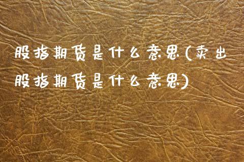 股指期货是什么意思(卖出股指期货是什么意思)_https://www.zztgc.com_期货直播_第1张