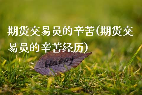 期货交易员的辛苦(期货交易员的辛苦经历)_https://www.zztgc.com_期货开户_第1张