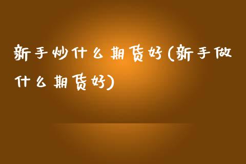 新手炒什么期货好(新手做什么期货好)_https://www.zztgc.com_期货直播_第1张