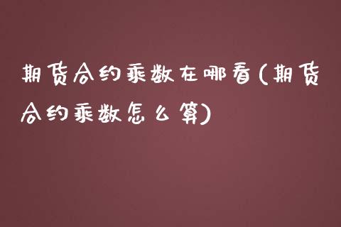 期货合约乘数在哪看(期货合约乘数怎么算)_https://www.zztgc.com_期货入门_第1张