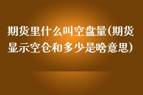 期货里什么叫空盘量(期货显示空仓和多少是啥意思)_https://www.zztgc.com_期货行情_第1张