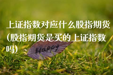 上证指数对应什么股指期货(股指期货是买的上证指数吗)_https://www.zztgc.com_黄金期货_第1张