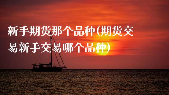 新手期货那个品种(期货交易新手交易哪个品种)_https://www.zztgc.com_期货开户_第1张