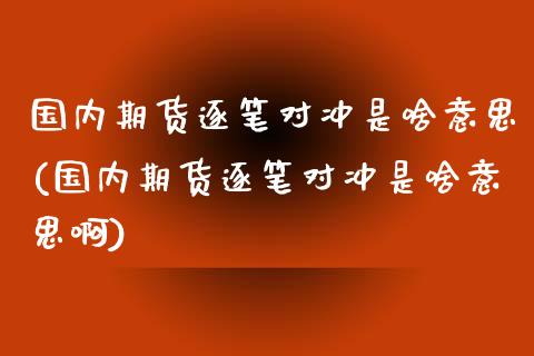 国内期货逐笔对冲是啥意思(国内期货逐笔对冲是啥意思啊)_https://www.zztgc.com_期货直播_第1张