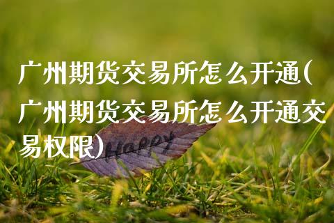 广州期货交易所怎么开通(广州期货交易所怎么开通交易权限)_https://www.zztgc.com_期货开户_第1张