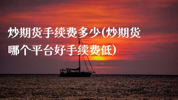 炒期货手续费多少(炒期货哪个平台好手续费低)_https://www.zztgc.com_黄金期货_第1张