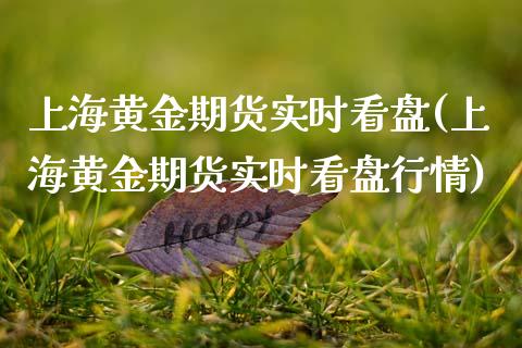 上海黄金期货实时看盘(上海黄金期货实时看盘行情)_https://www.zztgc.com_黄金期货_第1张