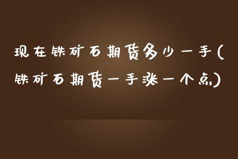 现在铁矿石期货多少一手(铁矿石期货一手涨一个点)_https://www.zztgc.com_原油期货_第1张