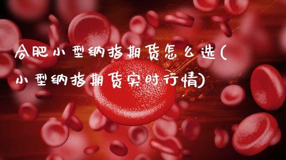 合肥小型纳指期货怎么选(小型纳指期货实时行情)_https://www.zztgc.com_期货入门_第1张