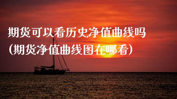 期货可以看历史净值曲线吗(期货净值曲线图在哪看)_https://www.zztgc.com_期货行情_第1张