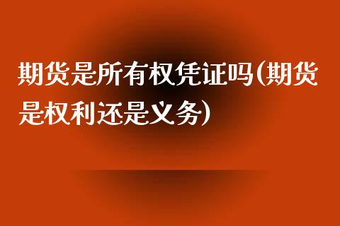 期货是所有权凭证吗(期货是权利还是义务)_https://www.zztgc.com_期货行情_第1张