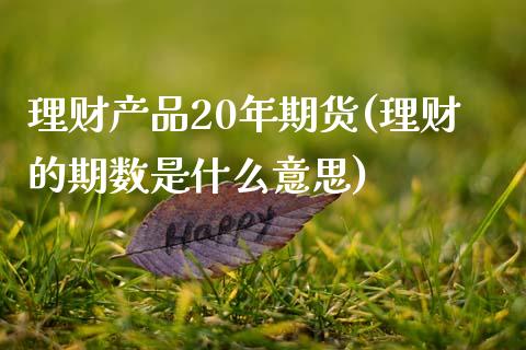理财产品20年期货(理财的期数是什么意思)_https://www.zztgc.com_期货行情_第1张