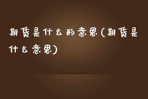 期货是什么的意思(期货是什么意思)_https://www.zztgc.com_黄金期货_第1张
