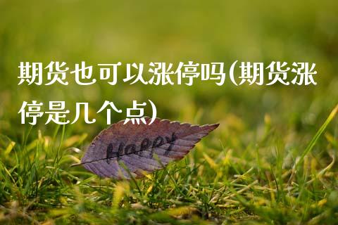 期货也可以涨停吗(期货涨停是几个点)_https://www.zztgc.com_黄金期货_第1张