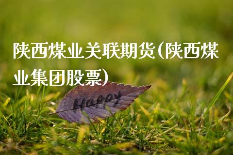 陕西煤业关联期货(陕西煤业集团股票)_https://www.zztgc.com_期货行情_第1张