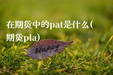 在期货中的pat是什么(期货pla)_https://www.zztgc.com_期货入门_第1张