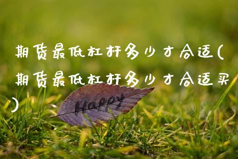 期货最低杠杆多少才合适(期货最低杠杆多少才合适买)_https://www.zztgc.com_原油期货_第1张