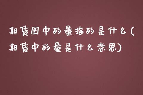 期货图中的量指的是什么(期货中的量是什么意思)_https://www.zztgc.com_原油期货_第1张