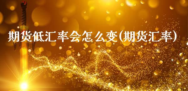 期货低汇率会怎么变(期货汇率)_https://www.zztgc.com_原油期货_第1张