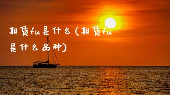 期货fu是什么(期货fu是什么品种)_https://www.zztgc.com_期货入门_第1张