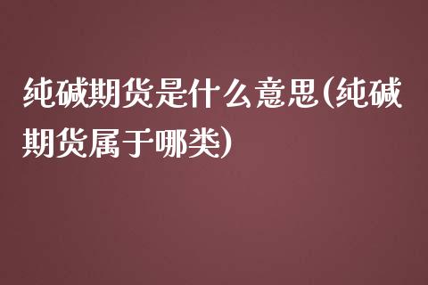 纯碱期货是什么意思(纯碱期货属于哪类)_https://www.zztgc.com_原油期货_第1张