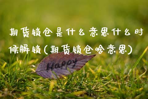 期货锁仓是什么意思什么时候解锁(期货锁仓啥意思)_https://www.zztgc.com_黄金期货_第1张