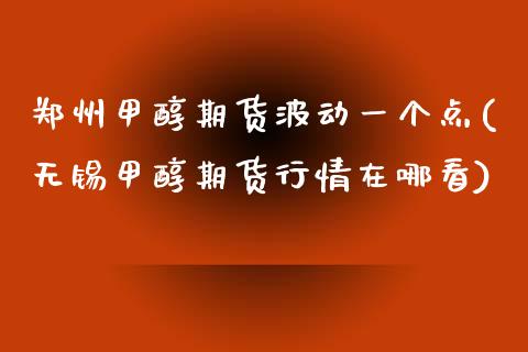 郑州甲醇期货波动一个点(无锡甲醇期货行情在哪看)_https://www.zztgc.com_黄金期货_第1张