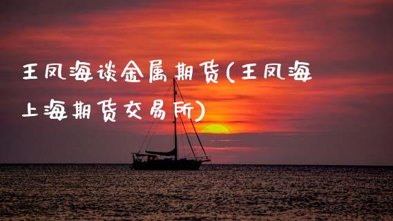 王凤海谈金属期货(王凤海上海期货交易所)_https://www.zztgc.com_期货行情_第1张
