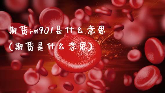 期货rm901是什么意思(期货是什么意思)_https://www.zztgc.com_期货行情_第1张