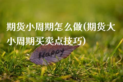 期货小周期怎么做(期货大小周期买卖点技巧)_https://www.zztgc.com_期货入门_第1张