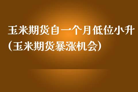 玉米期货自一个月低位小升(玉米期货暴涨机会)_https://www.zztgc.com_期货直播_第1张